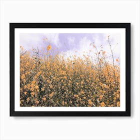 Yellow Flower Meadow Art Print