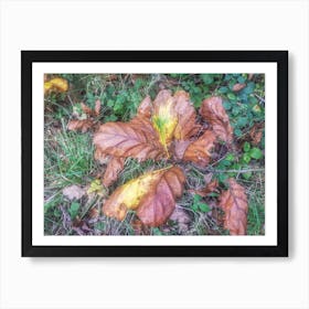 Autumn 1 Art Print