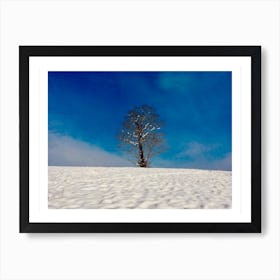 Snow Tree Art Print