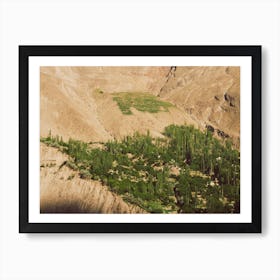 Mountain View Art Print