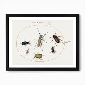 A Golden Bloomed Gray Longhorn, Tansy Beetle, Cockroach, Leaf Footed Bug, And Other Insects (1575–1580), Joris Hoefnagel Art Print