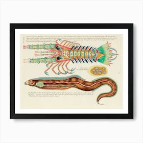 Colourful And Surreal Illustrations Of Fish And Lobster Found In Moluccas (Indonesia) And The East Indies, Louis Renard(88) Art Print