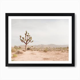 Joshua Tree Desert Art Print