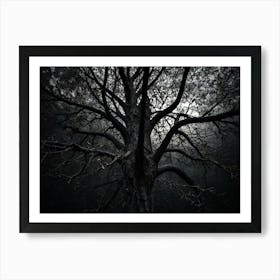 Tree In The Dark Art Print