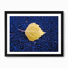 Autumn Leaf 1 Art Print