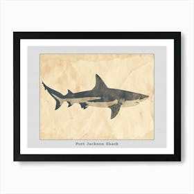 Port Jackson Shark Silhouette 7 Poster Art Print
