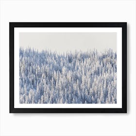 Winter Forest Art Print