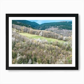 Aerial View Of A Forest 20230416110778pub Art Print