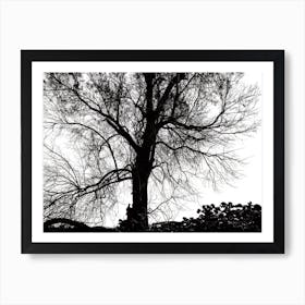 Silhouette Of Bare Tree Black And White 5 Art Print