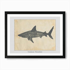 Common Thresher Shark Silhouette 1 Poster Art Print