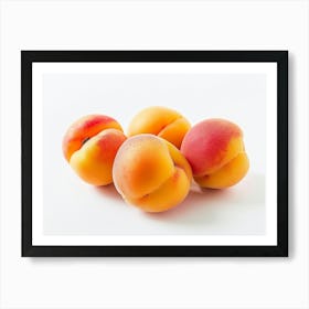 Apricots 18 Art Print