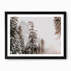 Snow Covered Pines Art Print