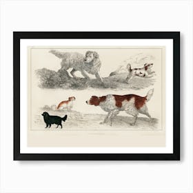 Four Dogs In A Field Art Print