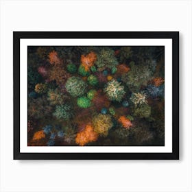 Colorful Garden Art Print