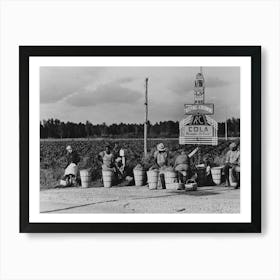 String Bean Pickers Waiting Along Highway For Trucks To Pick Them Up Near Gibson, Louisiana By Russell Lee Art Print