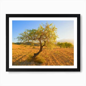 Almond Tree Of Andalusia Art Print