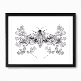 Eyed Hawk Moth Art Print