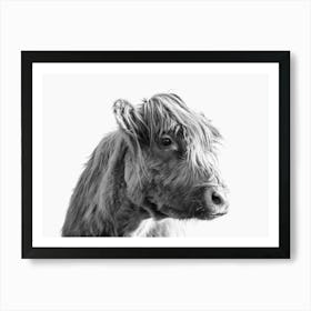 Portrait of A Highland Cattle Art Print