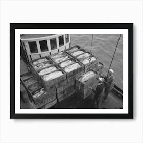 Untitled Photo, Possibly Related To Unloading Boxes Of Salmon From Fishing Boat At Docks Of Columbia River Art Print