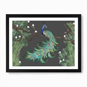 Proud Peacock Art Print