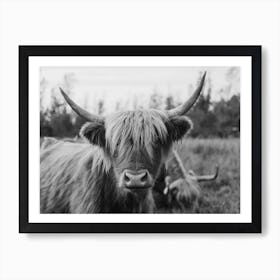 Highland Cow Black And White Animal Art Print