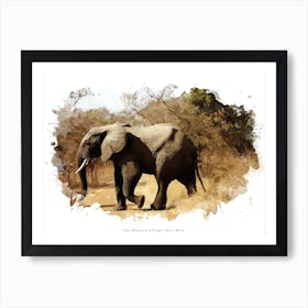 Parc National De La Pendjari, Benin, Africa Art Print