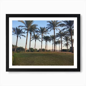 Palm Trees In The Park Art Print