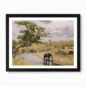 Elephant's Water Break in Kenya Art Print