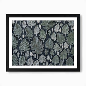 Dusty Miller Leaves On Black Art Print