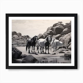 A Horse Oil Painting In Boulders Beach, South Africa, Landscape 3 Art Print