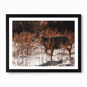 Winter Deer Traveling Art Print