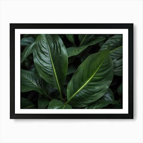 Close Up Of Green Leaves 1 Art Print