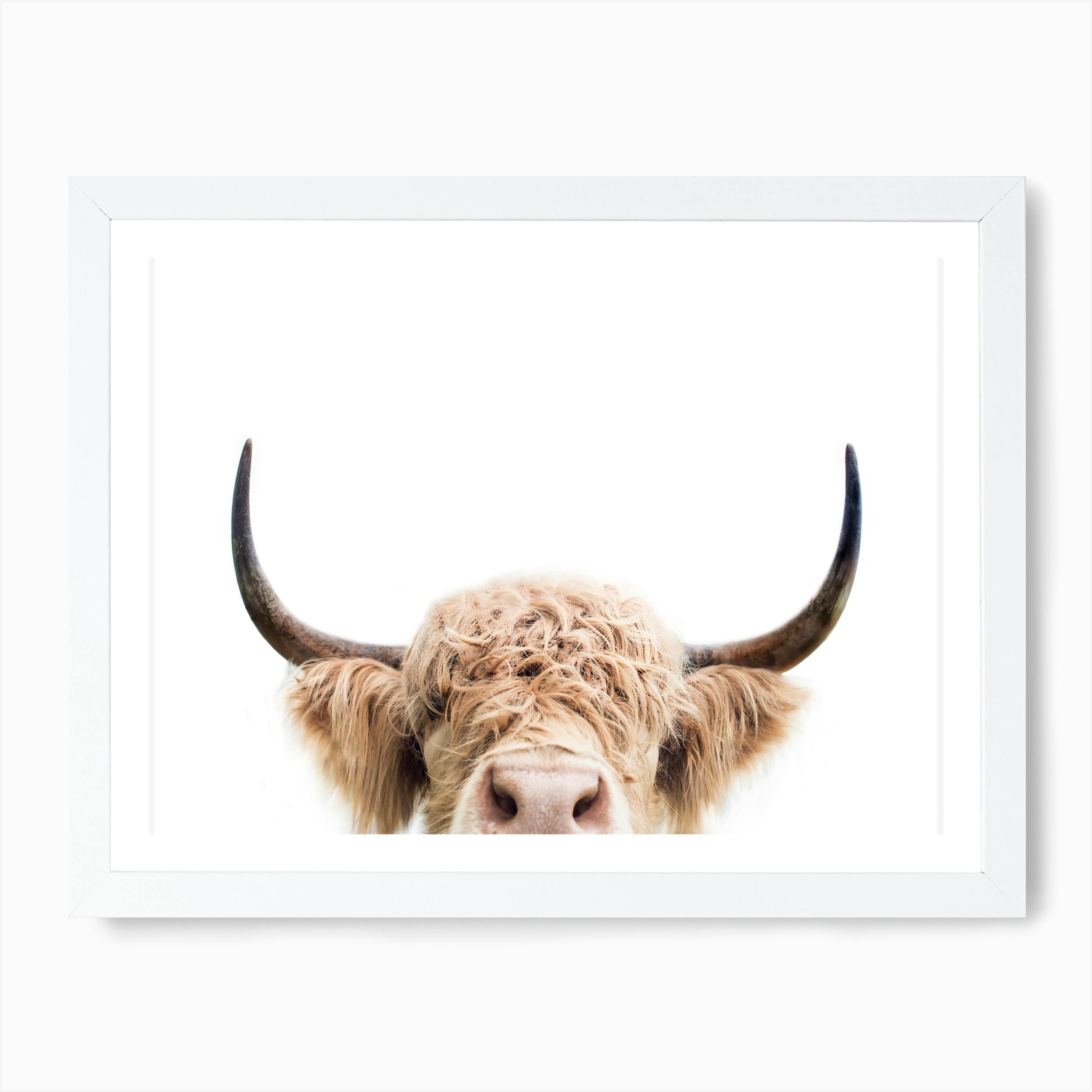 COW RED CANVAS PRINT PICTURE WALL ART HOME DECOR FREE FAST DELIVERY