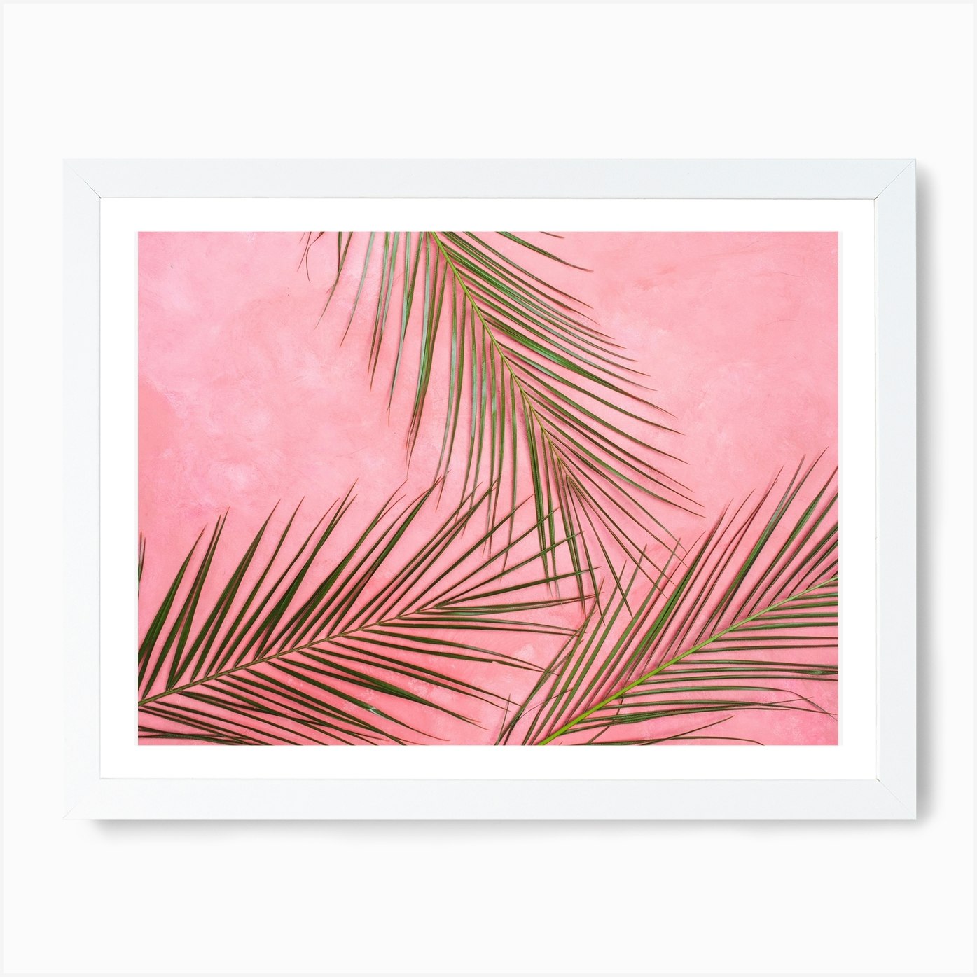 Summer Palm Leaves In Pink Wall Art Print By Mambo Fy