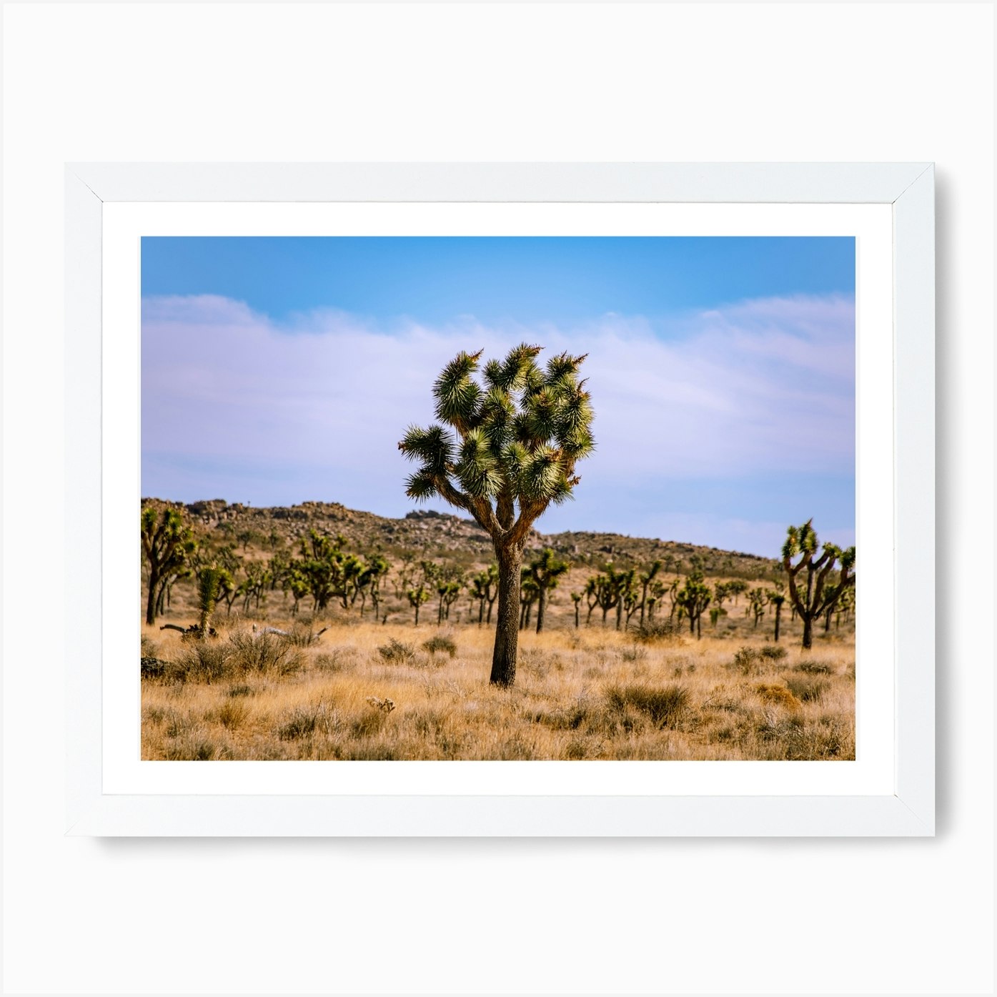 Joshua Tree Art Print by Khalogram Creative - Fy