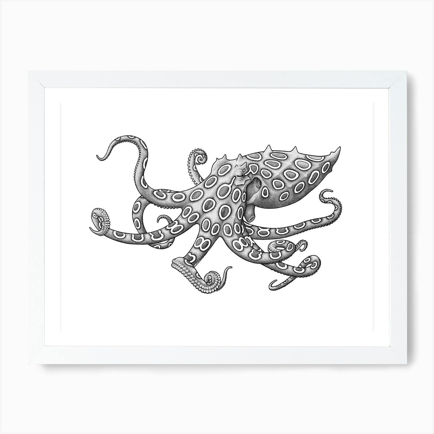 Canvas Two-Spotted Octopus Art print POSTER