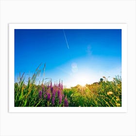 A Bright Sunrise Casting A Luminescent Glow On A Lush Countryside Garden During Summer Awash With P Art Print