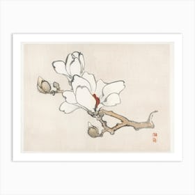 Magnolia, Kōno Bairei Art Print