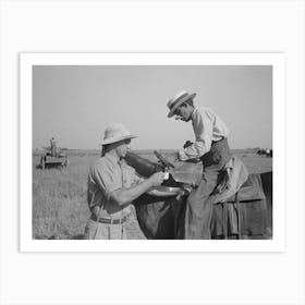 Rice Farmer Getting Drink Of Water From Water Boy On Farm Near Crowley, Louisiana By Russell Lee Art Print