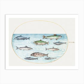 Nine Fish, Joris Hoefnagel Art Print