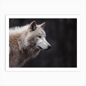 Beige Wolf Profile Art Print