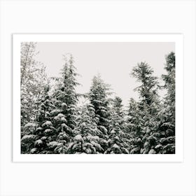 Winter Forest Art Print