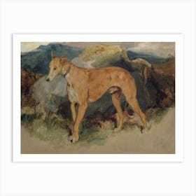 Greyhound Art Print