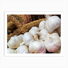 Garlic In A Basket 20201205 16ppub Art Print