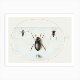 Diving Beetle And Backswimmer (1575–1580), Joris Hoefnagel Art Print