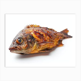 Grilled Fish 1 Art Print