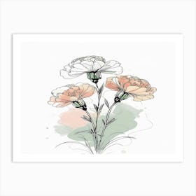 Carnations Art Print