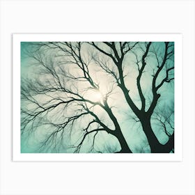 Silhouette Of Bare Tree Branches Against A Turquoise Sky With The Sun Shining Through Art Print