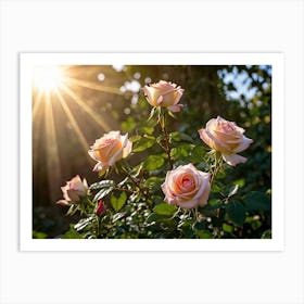 Roses In The Sun Art Print