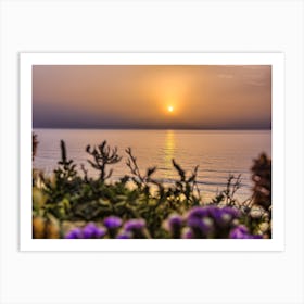 Serene Golden Sunset Over The Sea With The Wild Flowers 5 Art Print